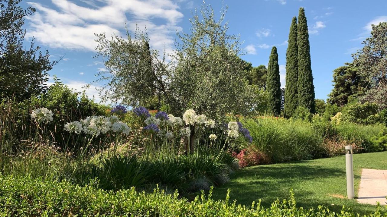Appartamento 23 - Bilocale Vista Lago 托斯科拉诺-马德尔诺 外观 照片